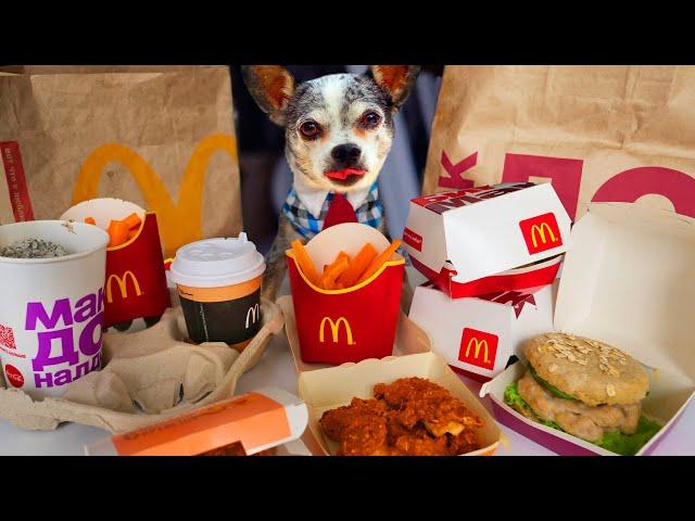 Повторяю меню McDonald’s для собак и кошки! Готовлю МакДональдс на День Рождения собаки