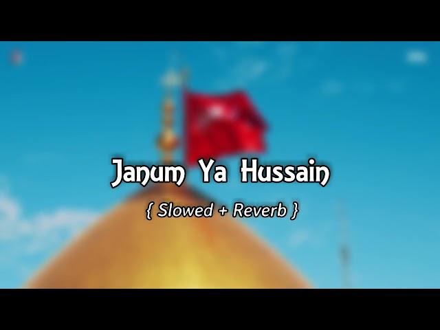 Janum Ya Hussain Slowed And Reverb | Noha Nadeem Sarwer | Slowed And Reverb  Song Lover