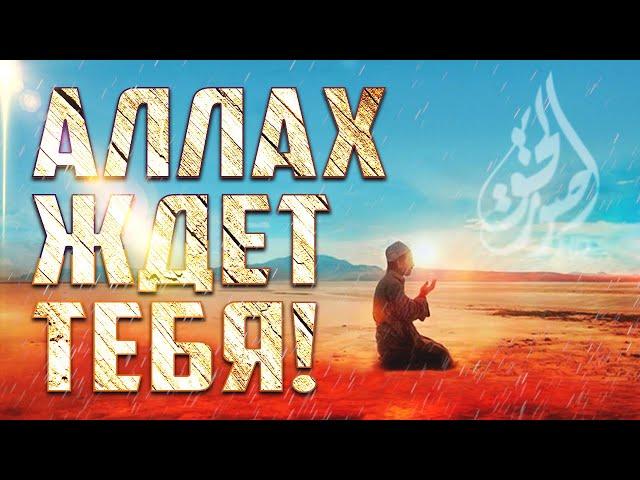 Аллах ждет тебя | Мухаммад Ратиб ан-Наблюси