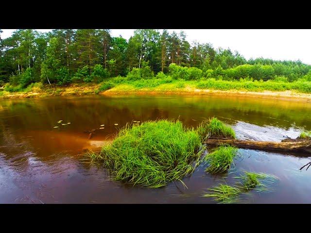 РЫБАЛКА, СПЛАВ, КАЙФ!!! Я бы жил на этой реке — ТАК ЗДЕСЬ ДУШЕВНО!!!