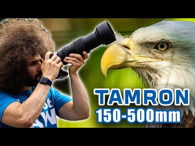 TAMRON 150-500mm REVIEW: The BEST Wildlife / Sports Lens for SONY on a Budget?