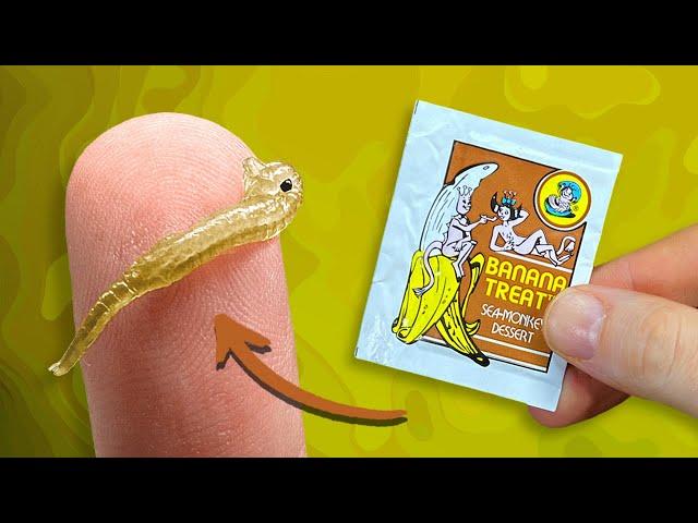 Sea-Monkeys Banana Treat | Packet Experiment Series: Video 5