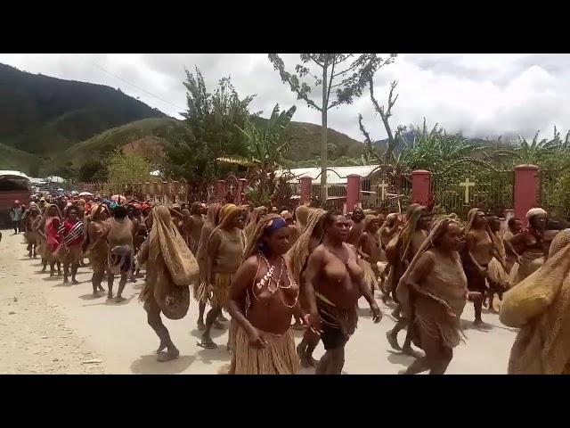 Tarian budaya Pengunungan Papua Koteka Moge Suku Mee Dogiyai