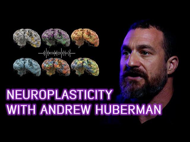 What is Neuroplasticity? Professor Andrew Huberman explains