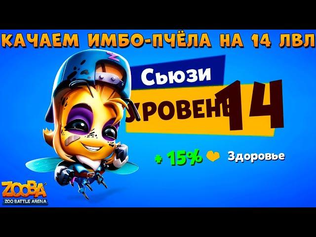 КАЧАЕМ ПЧЕЛУ СЬЮЗИ НА 14 УРОВЕНЬ В ИГРЕ ZOOBA