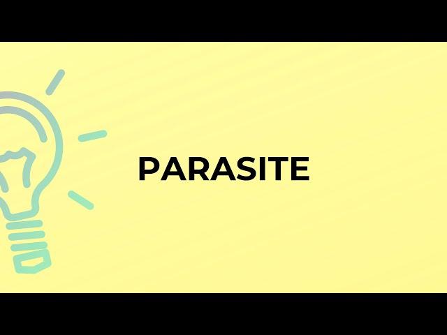 What is the meaning of the word PARASITE?