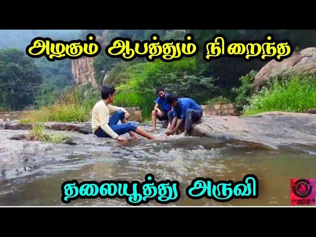 Thalakkuthu Falls | தலையூத்து அருவி | Dindigul | India | Travel vlog | Ceaseless Dreams