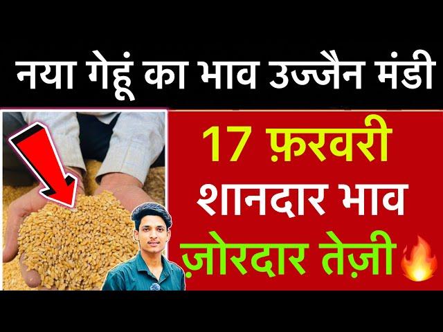 Ujjain Mandi Gehu Ka Bhav | Wheat Price Today | Ujjain Mandi Bhav Today | 17 February 2025