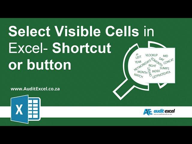 Select Visible cells shortcut and button