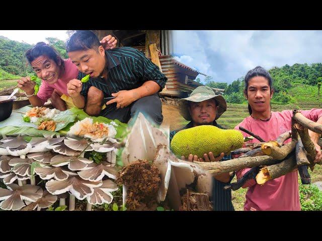 First time  trying Nagaland wild mushroom with Roving naga in nagaland