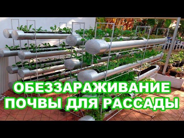 ОБЕЗЗАРАЖИВАНИЕ ПОЧВЫ ДЛЯ РАССАДЫ И ДЕЗИНФЕКЦИЯ