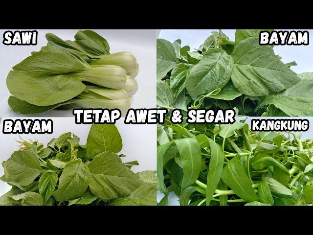 Cara Simpan Sayuran Kangkung, Bayam & Sawi Sendok, Agar Awet Kesegarannya