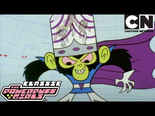 Mr. Mojo's Rising | The Powerpuff Girls Classic | Cartoon Network