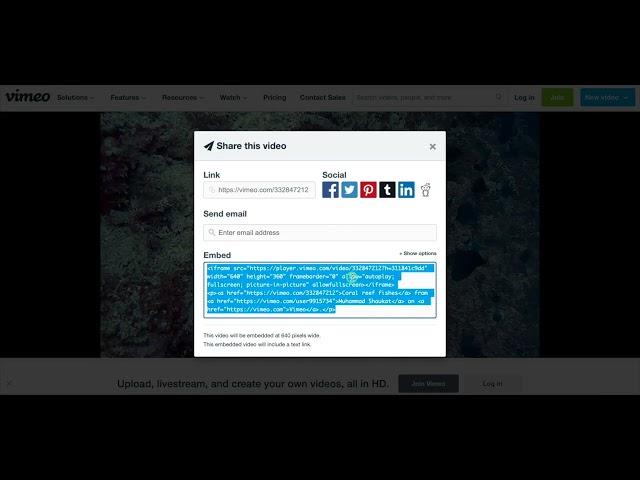 How to Get Vimeo Video Embed URL