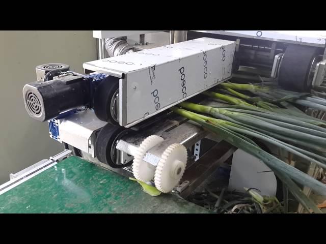 Spring onion peeling machine, Chives peeler,대파탈피기,쪽파탈피기,대파뿌리절단기