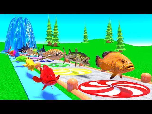 Paint & Animals Cow,Gorilla,Elephant,Rabbit,Tiger,Lion, Fountain Crossing Transformation Cartoon