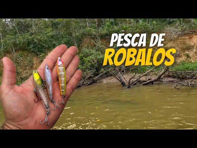 Pesca de ROBALOS nas GALHADAS | SÓ ISCA ARTIFICIAL