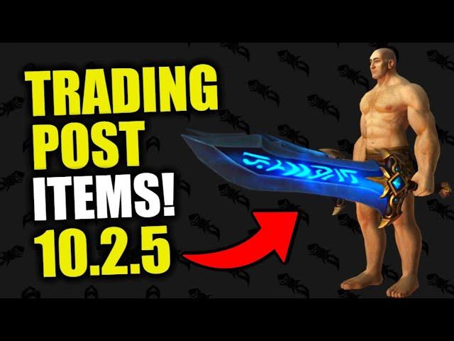 AWESOME NEW 10.2.5 Trading Post & Holiday ITEMS! WoW Dragonflight PTR