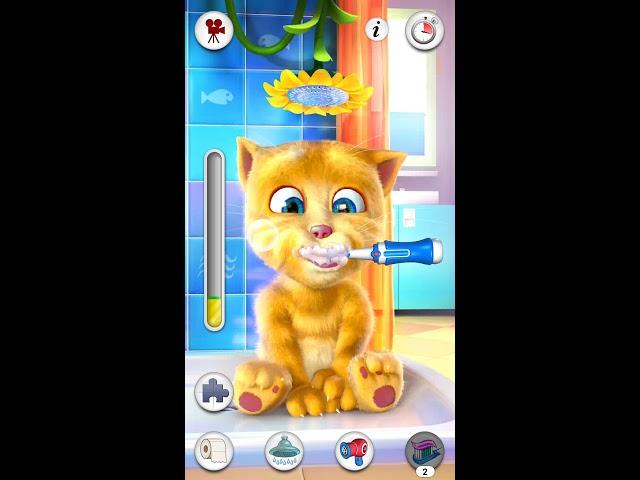 Talking ginger game - Cute cat care and bathing