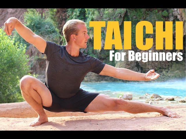 10 Tai Chi Moves for Beginners - 14 Minute Daily Taiji Routine