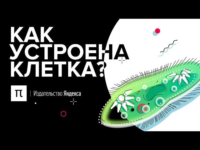 Как устроена клетка?