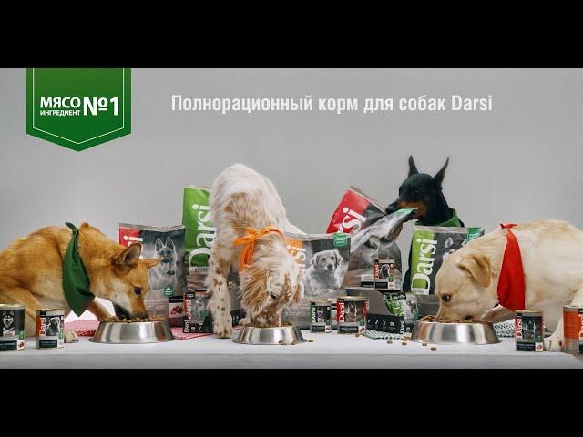 Darsi. Полнорационный сухой и влажный корм для собак