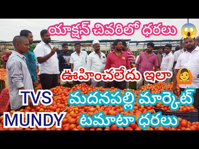 26/12/24 Madanapalle Tomato Market Price Today || Today Tomato Market Rate In Madanapalle #today