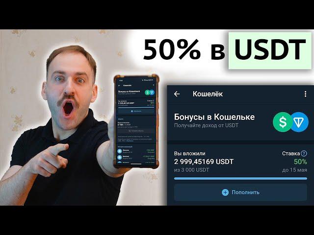 Вклад в долларах 50%! - Акция от Телеграм Тон Wallet и USDT