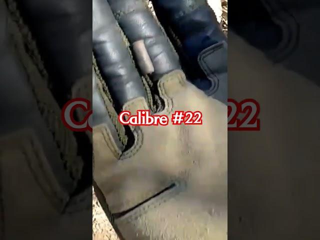 Calibre 22 #recuperacionmetalica #metaldetecting #deteccionmetalica