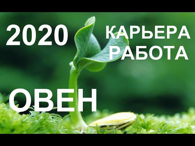 ОВЕН. КАРЬЕРА. РАБОТА. ПРОГНОЗ НА 2020 ГОД. ТАРО-ПРОГНОЗ.