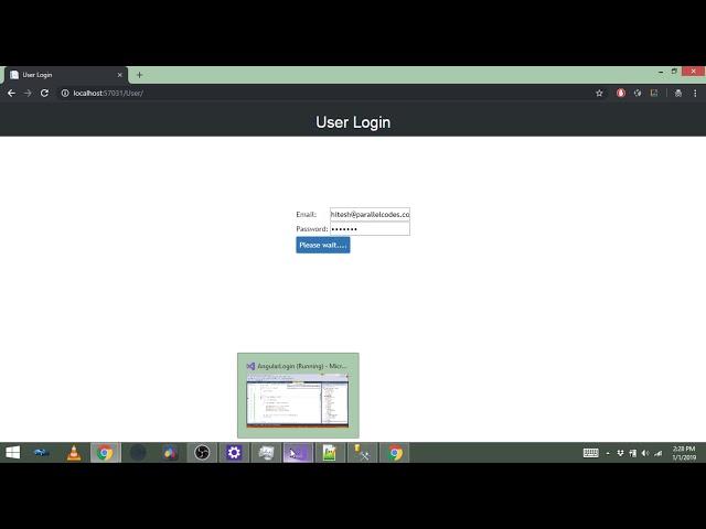 Angular JS Login form in MVC ASP.NET C#