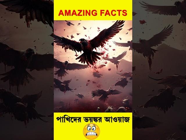 পাখিদের ভয়ঙ্কর আওয়াজ ! #facts#factshorts#fact#shorts #birds#viralvideo#viralshorts#reels