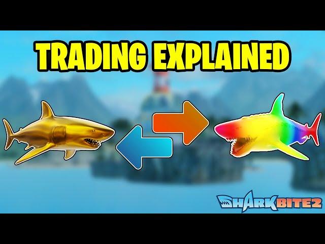 SHARKBITE 2: TRADING UPDATE EXPLAINED