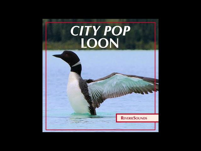 City Pop Loon (Full CD Rip)