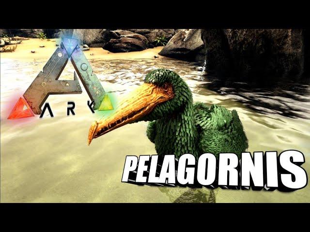 Taming A Pelagornis | Ark Survival Evolved | The Island