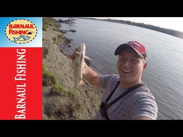 ДВА ЗАБРОСА ,ДВА ЯЗЯ!!! ПЕТЬКЕ  ПОВЕЗЛО.РЫБАЛКА НА ОБИ (Barnaul Fishing)