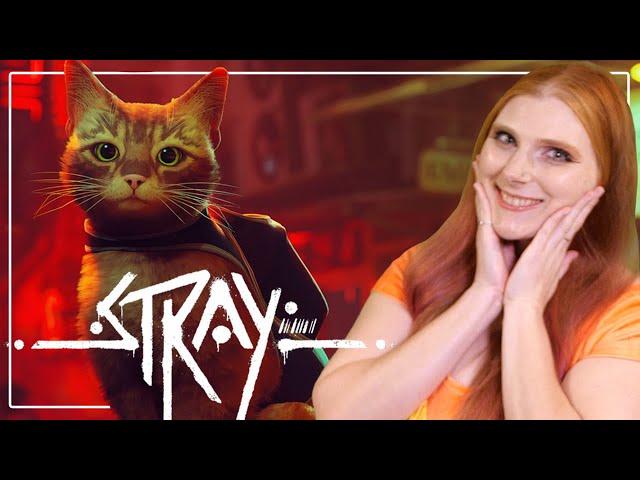 THE ADVENTURES OF MR. PEABODY MOONSHINE! - Stray (Aenne & the Stumpt Crew)