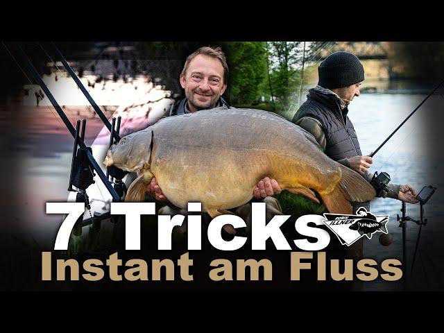 IN DIESEM FLUSS GIBT ES RIESENKARPFEN!- Karpfenangeln am Fluss