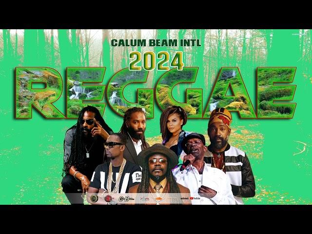 Reggae Mix 2024 (May) Alaine,Lutan Fyah,Inoah,Luciano,Beres Hammond | Calum beam intl