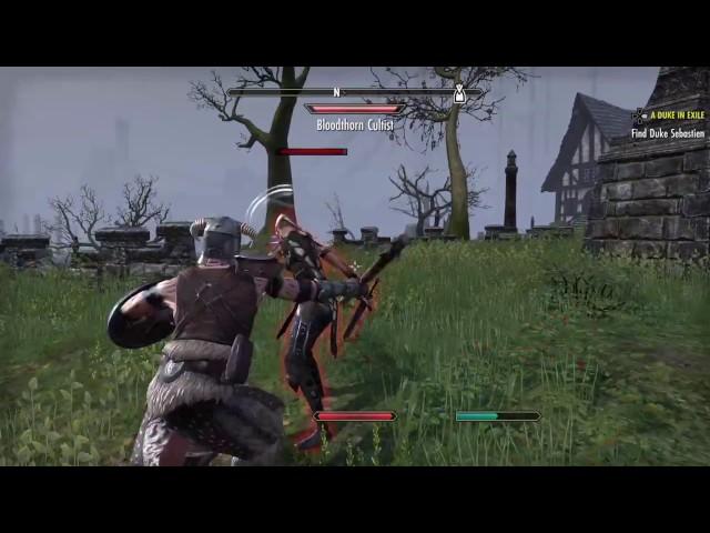 The Elder Scrolls Online: Combat gameplay...