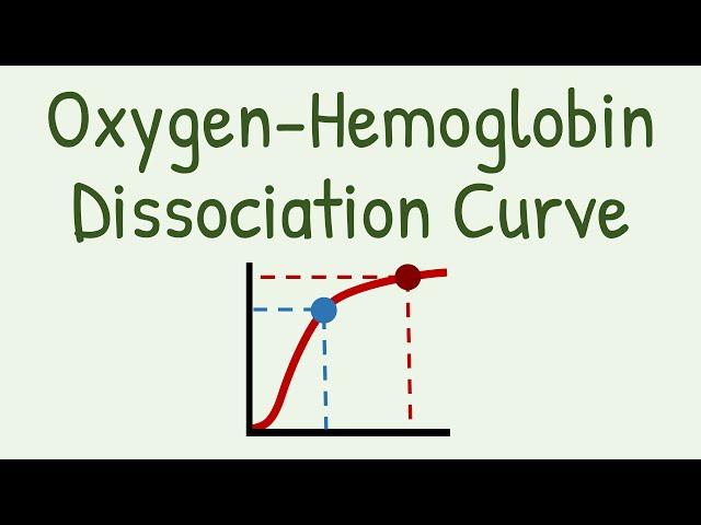 Oxygen Hemoglobin Dissociation Curve