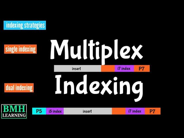 Multiplex Indexing | Multiplex Array With Index Tag | Illumina Multiplexing |