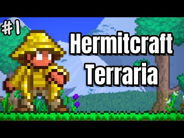 Terraria's new server TERRALIFE - week 1