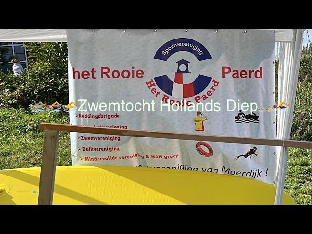 2024-‍️‍️Zwemtocht Hollands Diep Willemstad‍️‍️