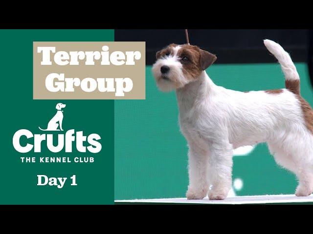 Terrier Group Judging | Crufts 2025