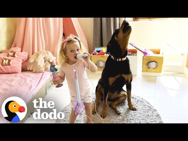 Marathon of The Happiest Dodo Stories EVER | The Dodo