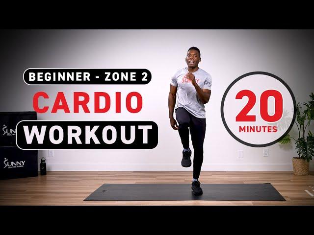 Beginner Zone 2 Cardio Workout - BODYWEIGHT/NO EQUIPMENT | 20 Minutes