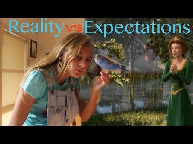 Disney Expectations vs Reality