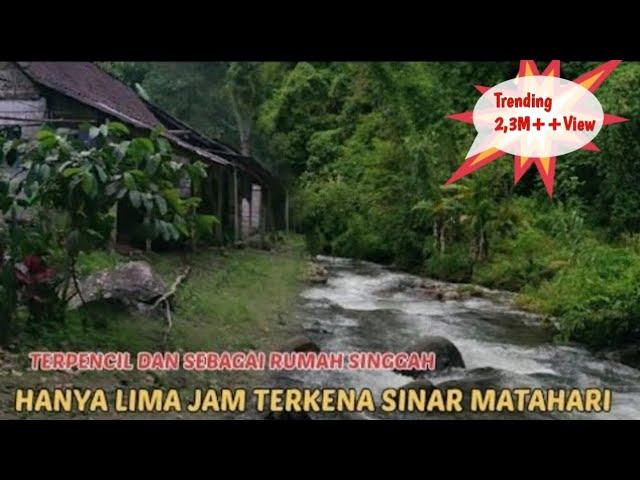 INI DIA!!! Kampung TERPENCIL di HUTAN WILIS MADIUN!!! Hidup di desa,Suasana Desa