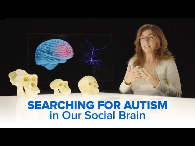 Searching for Autism in our Social Brain